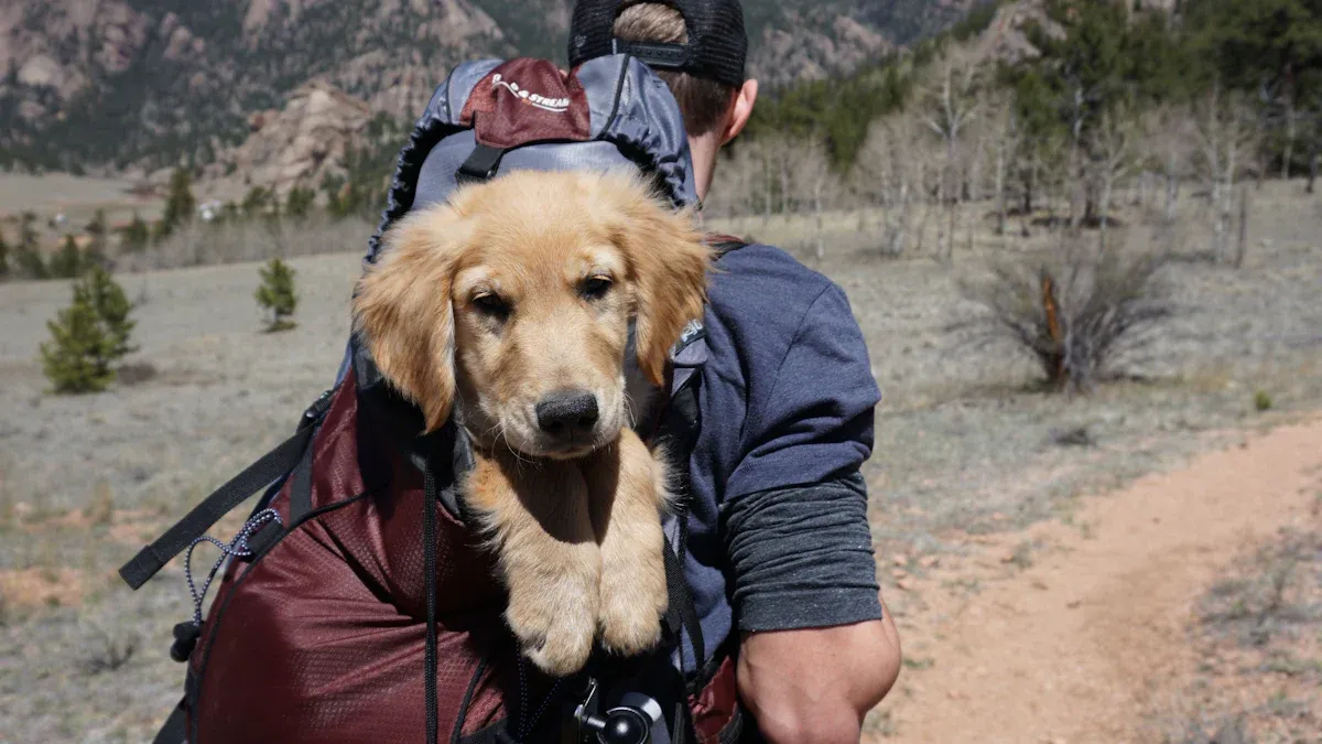 Choosing the Right Dog Backpack for Hiking
