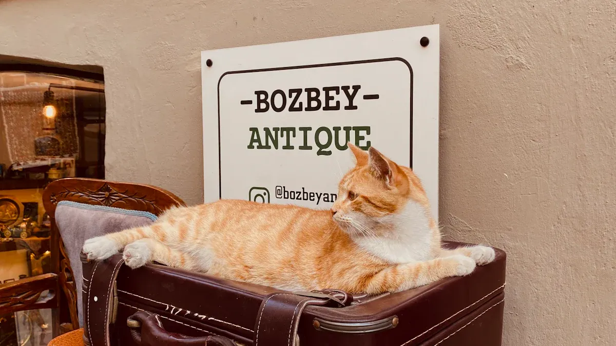 Early Pet Travel Methods