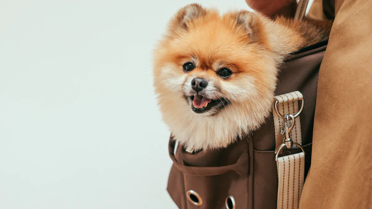 Dog Treat Bag Features to Consider