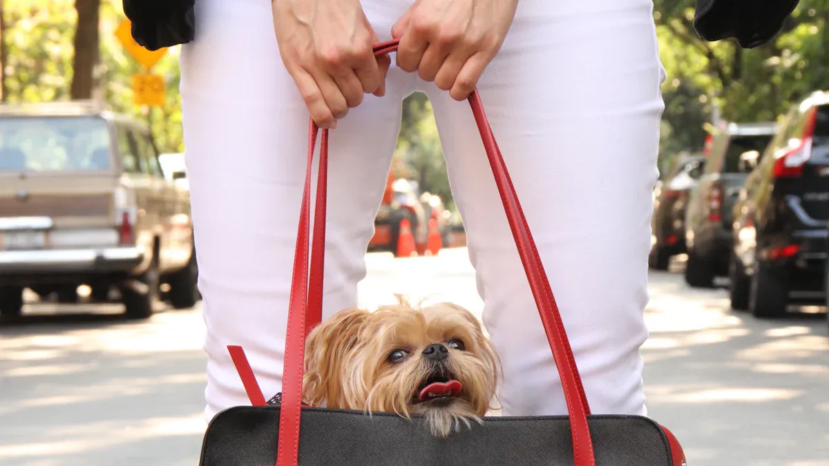 Modern Canine Bag Innovations